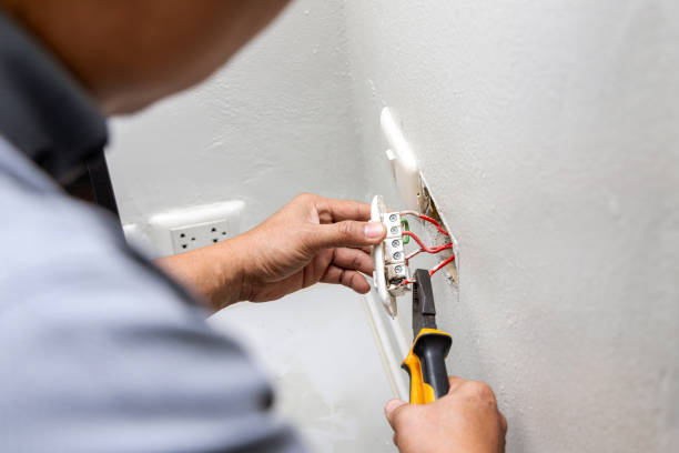 Best Electric Panel Repair  in Butner, NC